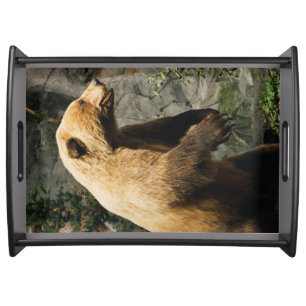 Proud Bear Serving Tray