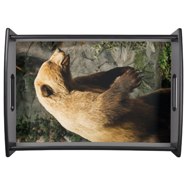 Proud Bear Serving Tray (Front)