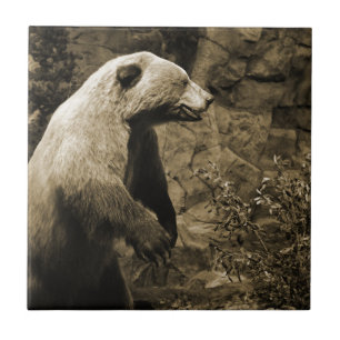 Proud Bear Tile