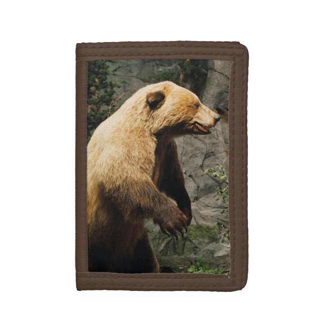 Proud Bear Tri-fold Wallet (Front Vertical)