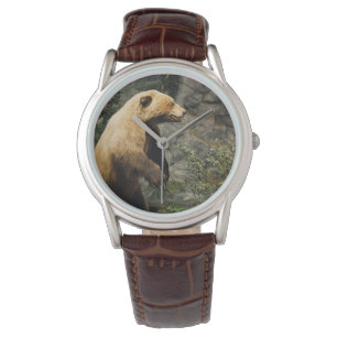 Proud Bear Watch