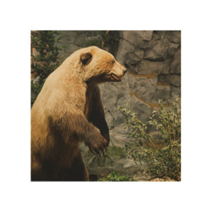 Proud Bear Wood Wall Decor