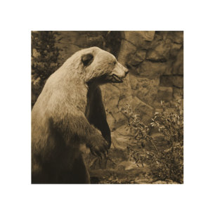 Proud Bear Wood Wall Decor