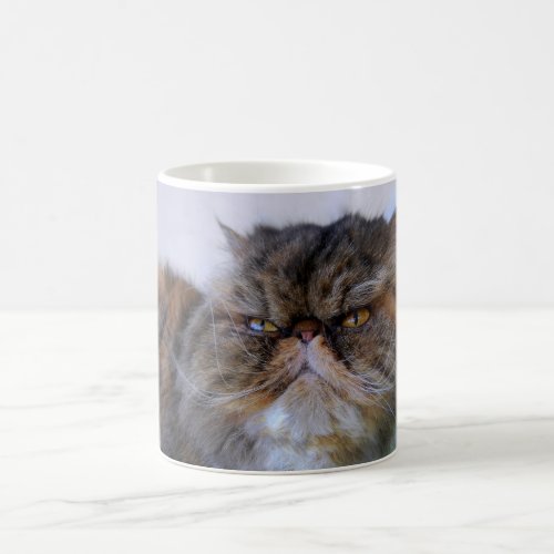 Proud Calico Persian Cat Coffee Mug