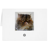 Proud Calico Persian Kitty Card (Back Horizontal)