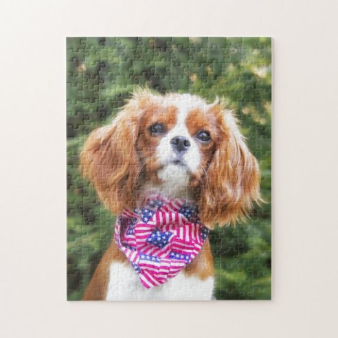 Cavalier King Charles Spaniel Jigsaw Puzzles | Zazzle