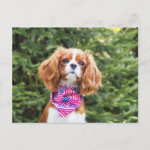Proud Cavalier King Charles Spaniel Puppy Postcard