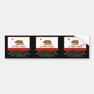 Proud Citizen of  California Bumper Sticker