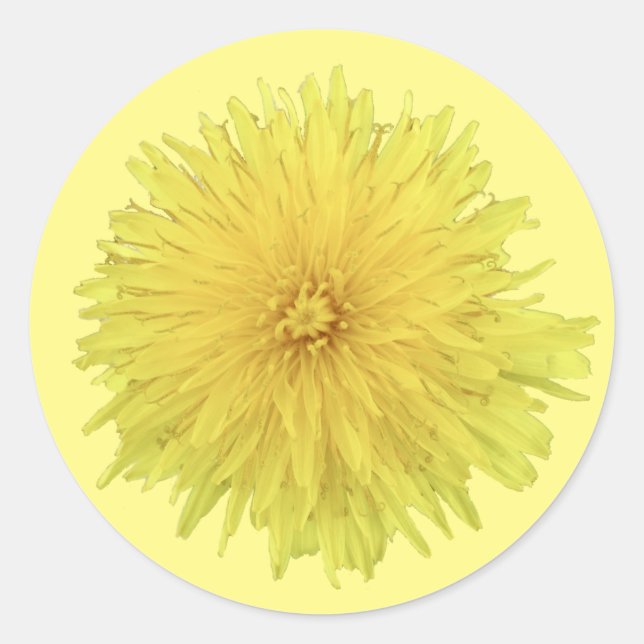 Proud Dandelion Flower - transparent. Classic Round Sticker (Front)