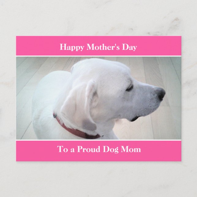 Proud Dog Mom Cute White Labrador Mix Dog Profile  Holiday Postcard (Front)