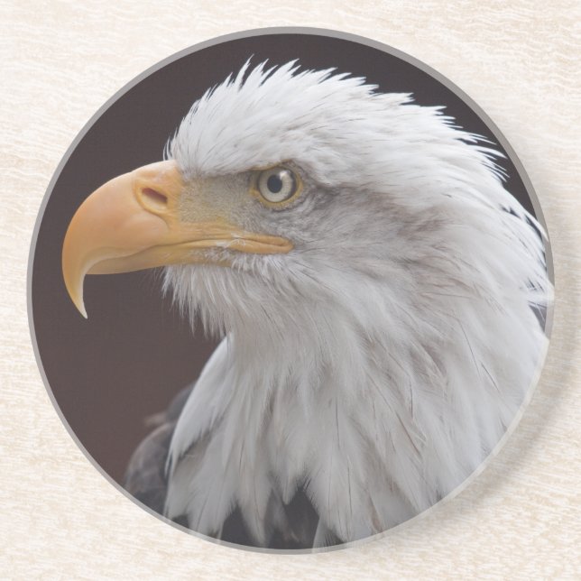 Proud Eagle Coaster (Front)