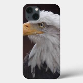 Proud Eagle iPad Case