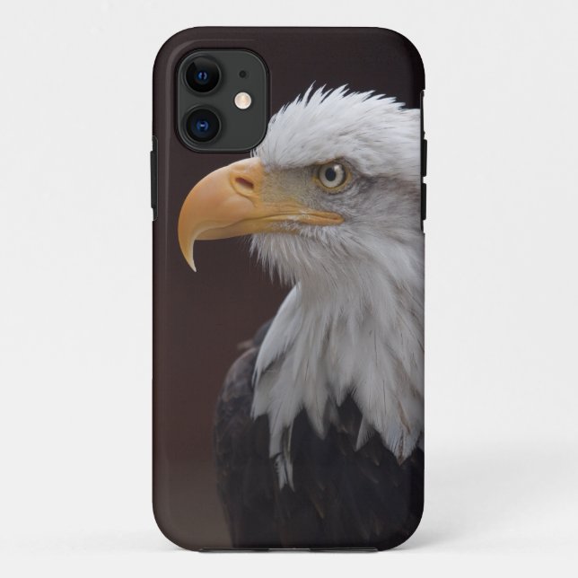 Proud Eagle iPhone 5 Case-Mate Case (Back)