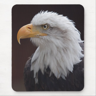 Proud Eagle Mousemat Mouse Pad