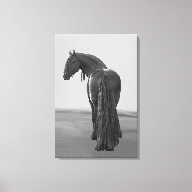 Proud Friesian black stallion Canvas Print (Front)