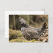 Proud Grouse (Front/Back)