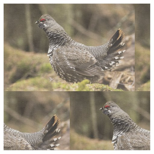 Proud Grouse Fabric