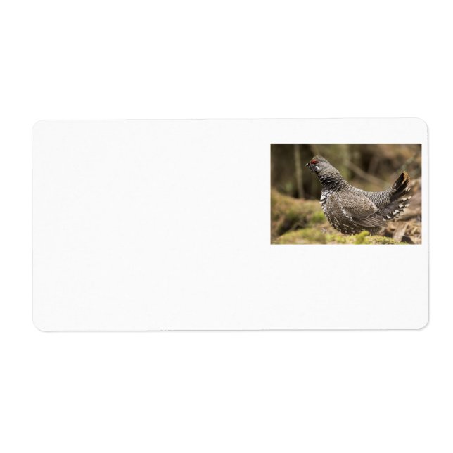 Proud Grouse Label (Front)