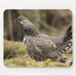 Proud Grouse Mouse Pad