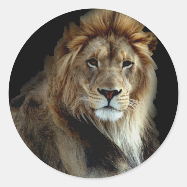 Proud King of the Animal Kingdom Classic Round Sticker (Front)