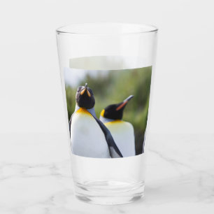 Proud King penguins photo Glass