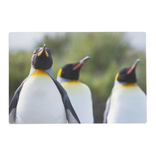 Proud King penguins photo Placemat