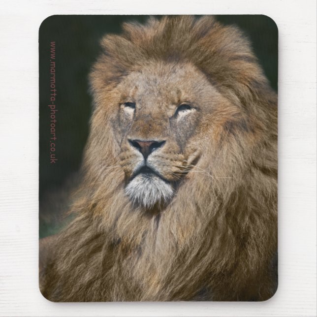 Proud Lion Mousemat Mouse Pad (Front)
