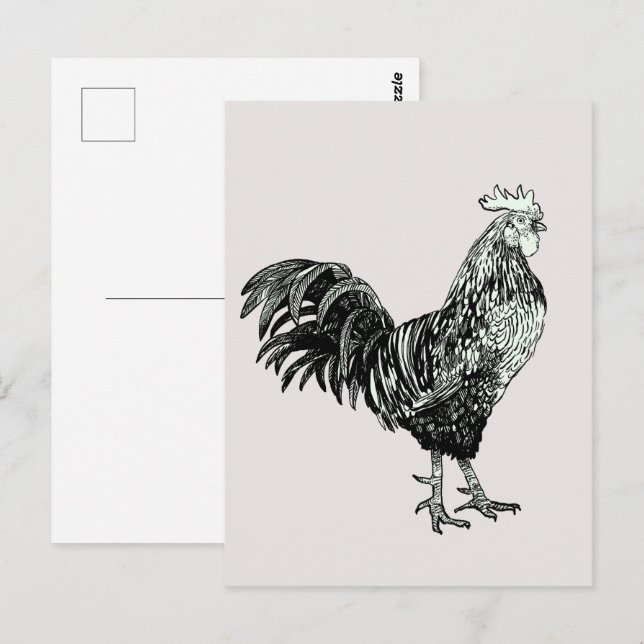 Proud little rooster! postcard (Front/Back)
