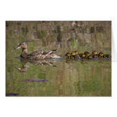 Proud Mama Mallard (Front Horizontal)