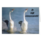 PROUD OF YOU **GRANDDAUGHTER** WISHES FOR FUTURE (Front Horizontal)