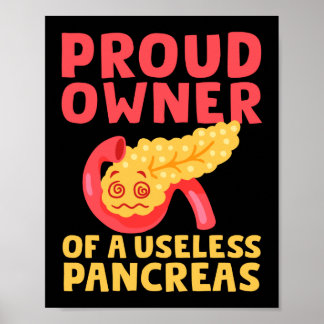 Proud Owner Of A Useless Pancreas Type 1 Diabetes Poster