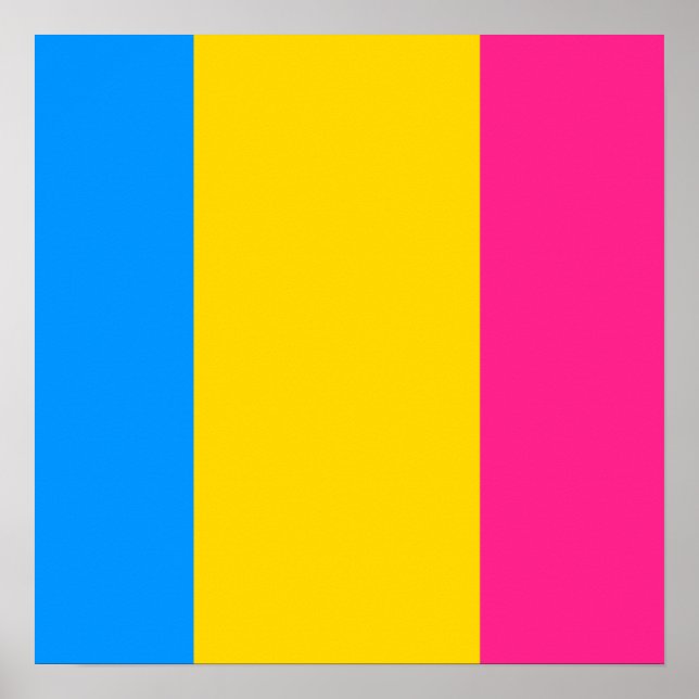 Proud Pansexual Poster (Front)