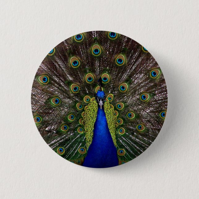 Proud Peacock button (Front)