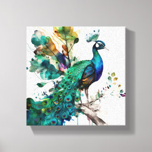 Proud Peacock Canvas Print