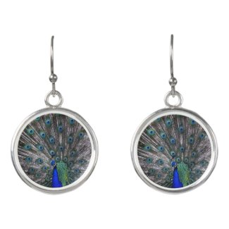 Proud Peacock Earrings