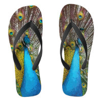 Proud Peacock Flip Flops