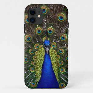 Proud Peacock iPhone case