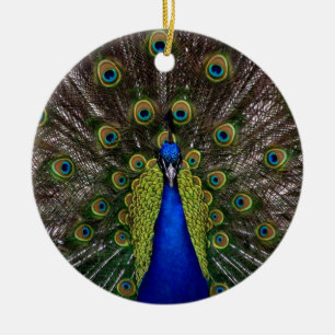 Proud Peacock ornament
