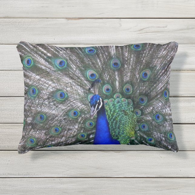 Proud Peacock Outdoor Accent Pillow (Front)