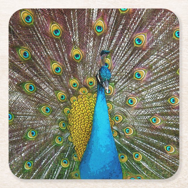 Proud Peacock with Royal Plumage on Display Square Paper Coaster (Front)