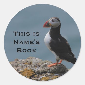Proud Puffin Sticker by Welshpixels at Zazzle