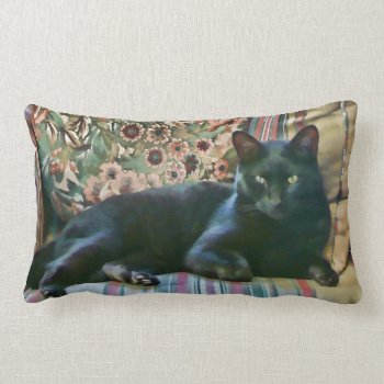 Proud Puss Black Cat American Mojo Pillows by Rosemariesw at Zazzle