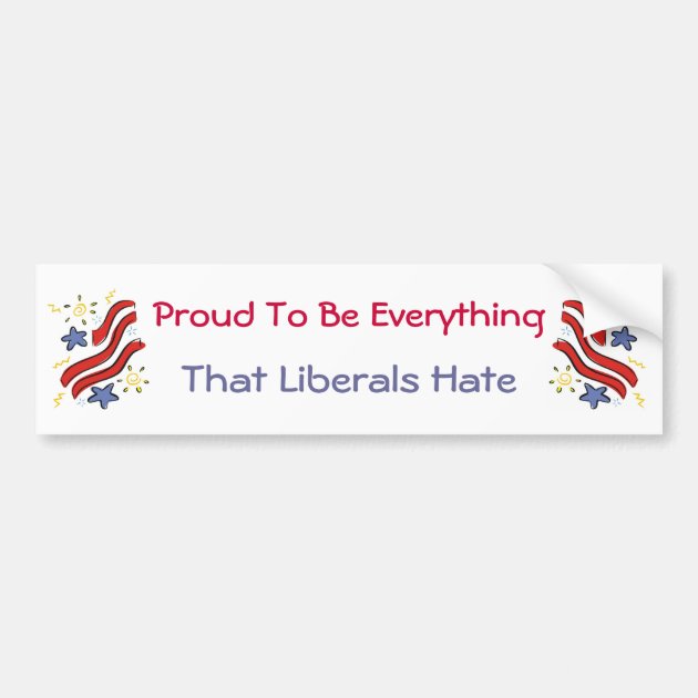 PROUD TO BE EVERYTHING A REPUBLICAN HATES Novelty Bumper Magnet Decal liberal 