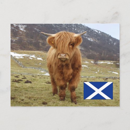 Proud to be Scottish Postcard