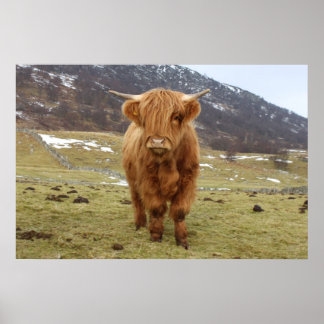 Proud To Be Scottish! Poster