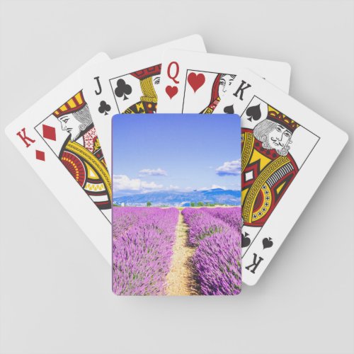 Provance Poker Cards