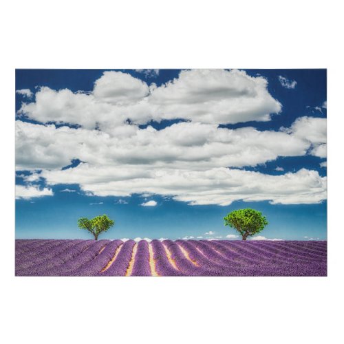 Provence canvas with lavender