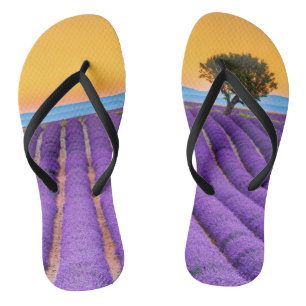 Provence Flip Flops
