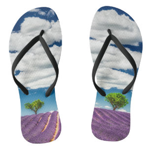 Provence Flip Flops