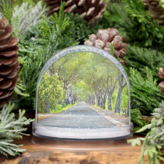 Provence France, Canopy of Trees Over Road Snow Globes